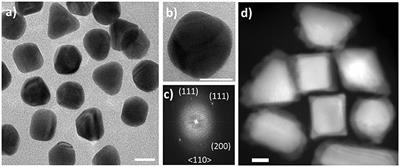 Direct Observation of Early Stages of Growth of Multilayered DNA-Templated Au-Pd-Au Core-Shell Nanoparticles in Liquid Phase